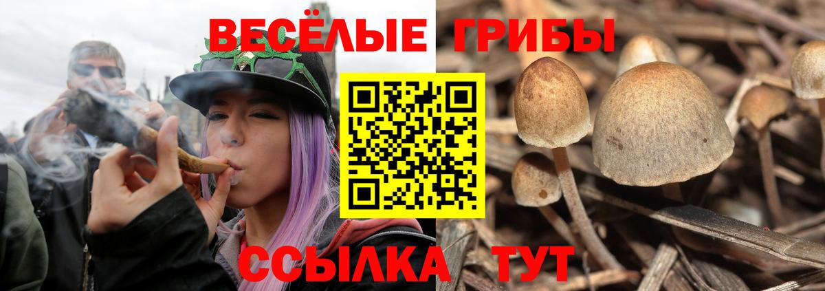Галлюциногенные грибы мухоморы Красногорск